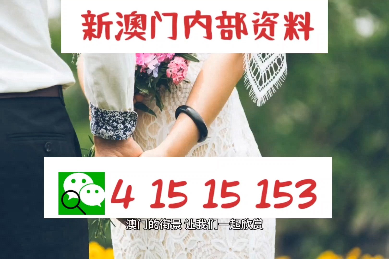 2024年新澳资料免费公开,全身心数据指导枕_珍藏版66.263