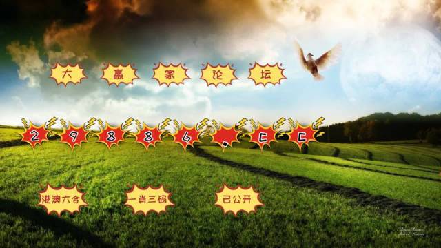 2024澳门马今晚开奖记录,创新解释说法_文化传承版80.834