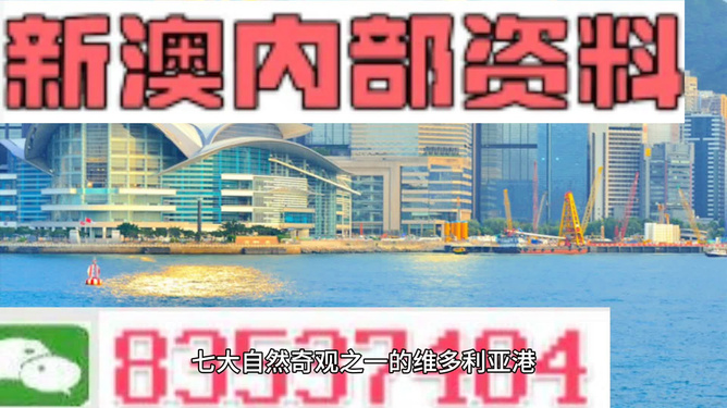 2024新澳最精准资料222期,决策信息解释_演讲版80.474